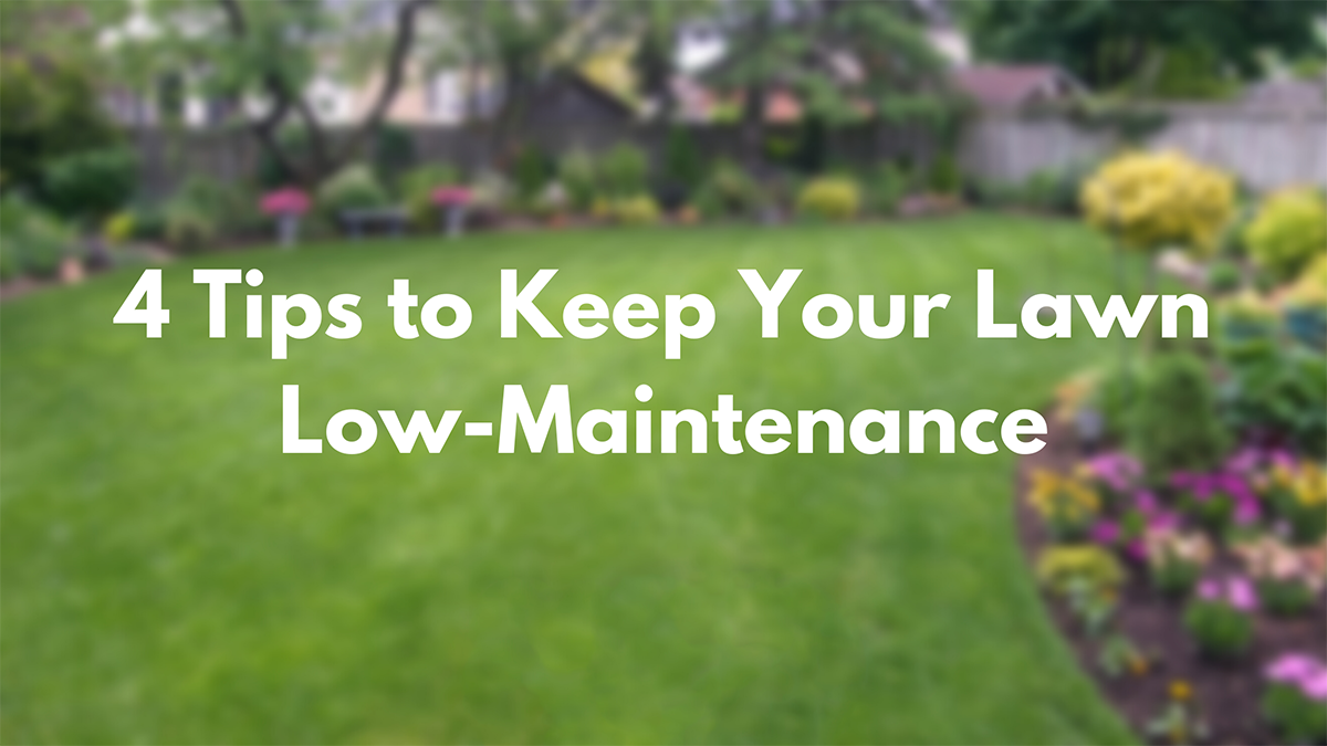 4 Tips to Keep Your Lawn Low-Maintenance.png